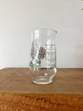 Load image into Gallery viewer, Vintage Botanical Glass Set