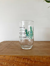 Load image into Gallery viewer, Vintage Botanical Glass Set