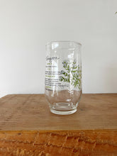 Load image into Gallery viewer, Vintage Botanical Glass Set