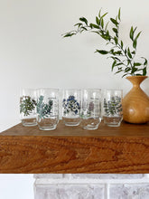 Load image into Gallery viewer, Vintage Botanical Glass Set