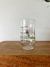 Load image into Gallery viewer, Vintage Botanical Glass Set
