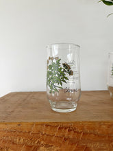 Load image into Gallery viewer, Vintage Botanical Glass Set