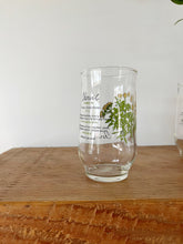 Load image into Gallery viewer, Vintage Botanical Glass Set