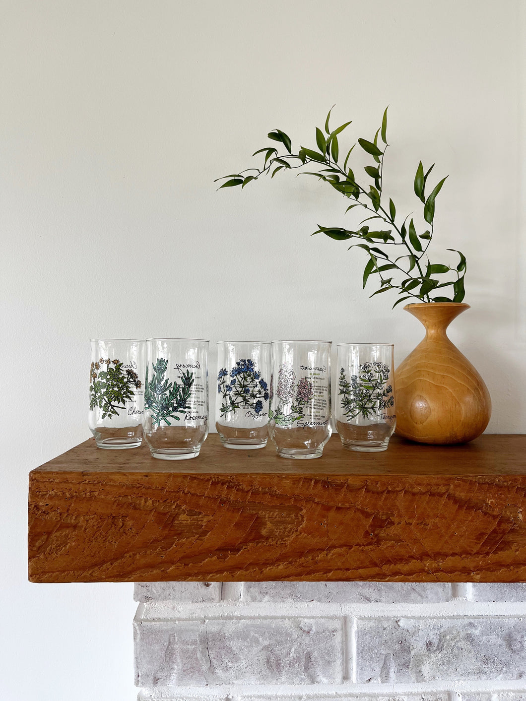 Vintage Botanical Glass Set